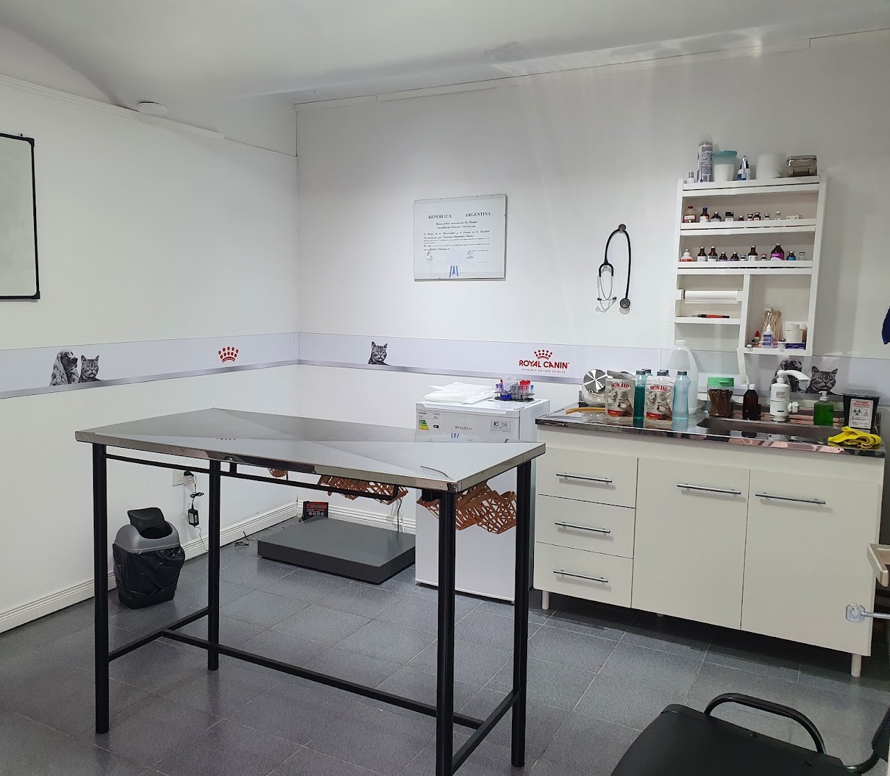 VETmood - Centro Veterinario Integral